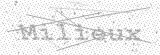 Security Picture (click to change)