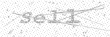 Security Picture (click to change)
