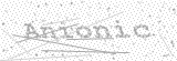 Security Picture (click to change)