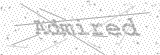 Security Picture (click to change)