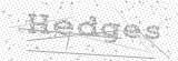 Security Picture (click to change)