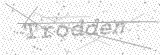 Security Picture (click to change)