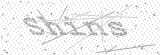 Security Picture (click to change)