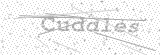 Security Picture (click to change)