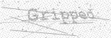 Security Picture (click to change)