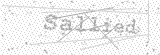 Security Picture (click to change)
