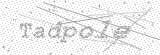 Security Picture (click to change)