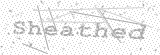 Security Picture (click to change)