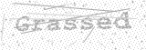 Security Picture (click to change)