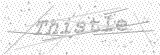 Security Picture (click to change)