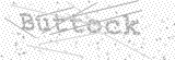Security Picture (click to change)
