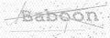 Security Picture (click to change)