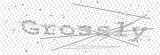 Security Picture (click to change)
