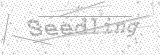 Security Picture (click to change)