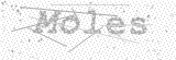 Security Picture (click to change)