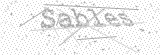 Security Picture (click to change)