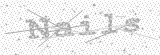 Security Picture (click to change)