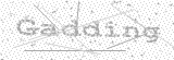 Security Picture (click to change)