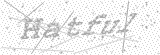 Security Picture (click to change)