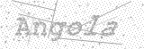 Security Picture (click to change)
