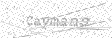 Security Picture (click to change)