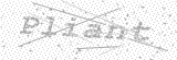 Security Picture (click to change)