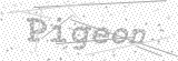 Security Picture (click to change)