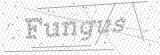 Security Picture (click to change)