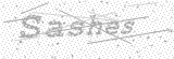 Security Picture (click to change)
