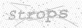 Security Picture (click to change)