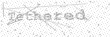 Security Picture (click to change)