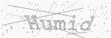 Security Picture (click to change)