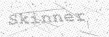 Security Picture (click to change)