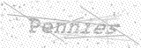 Security Picture (click to change)