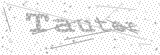 Security Picture (click to change)