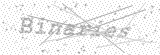 Security Picture (click to change)