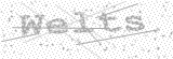 Security Picture (click to change)