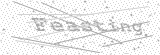 Security Picture (click to change)