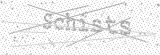 Security Picture (click to change)