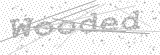 Security Picture (click to change)