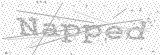 Security Picture (click to change)