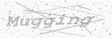 Security Picture (click to change)