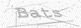 Security Picture (click to change)