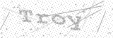 Security Picture (click to change)