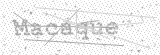 Security Picture (click to change)