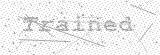 Security Picture (click to change)