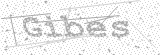 Security Picture (click to change)