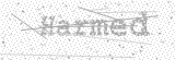 Security Picture (click to change)