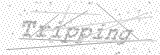 Security Picture (click to change)