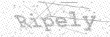 Security Picture (click to change)